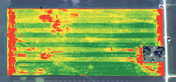 ndvi.jpg